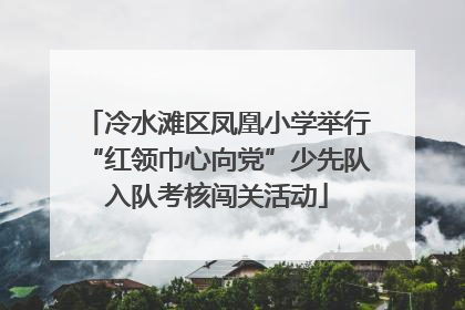 冷水滩区凤凰小学举行“红领巾心向党”少先队入队考核闯关活动