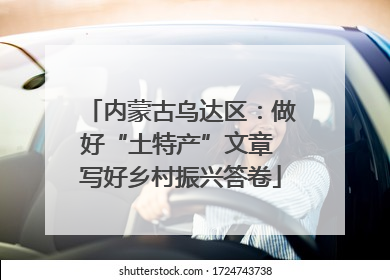 内蒙古乌达区：做好“土特产”文章 写好乡村振兴答卷