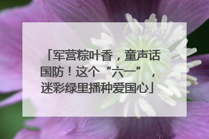 军营粽叶香，童声话国防！这个“六一”，迷彩绿里播种爱国心