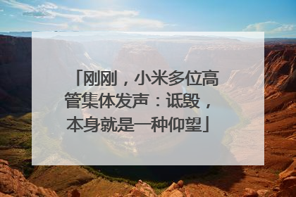 刚刚，小米多位高管集体发声：诋毁，本身就是一种仰望
