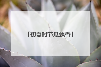 初夏时节瓜飘香