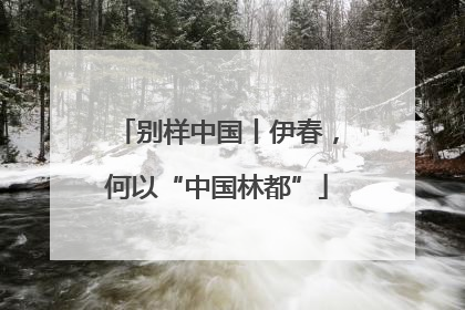 别样中国丨伊春，何以“中国林都”