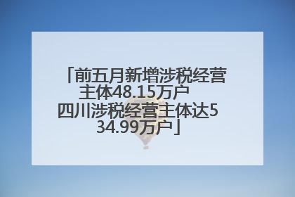 前五月新增涉税经营主体48.15万户 四川涉税经营主体达534.99万户