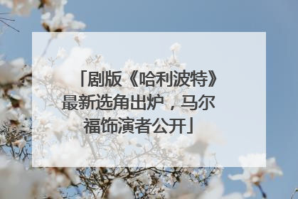 剧版《哈利波特》最新选角出炉，马尔福饰演者公开