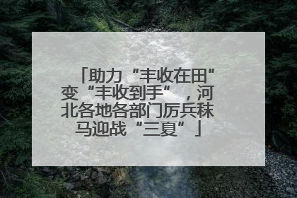 助力“丰收在田”变“丰收到手”，河北各地各部门厉兵秣马迎战“三夏”