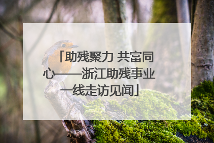 助残聚力 共富同心——浙江助残事业一线走访见闻