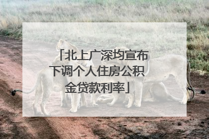 北上广深均宣布下调个人住房公积金贷款利率