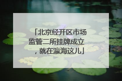 北京经开区市场监管二所挂牌成立，就在瀛海这儿