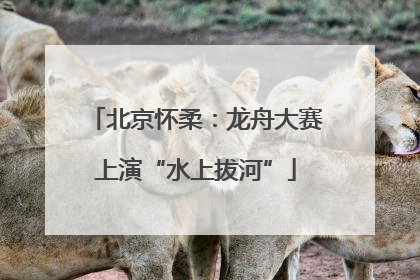 北京怀柔：龙舟大赛上演“水上拔河”