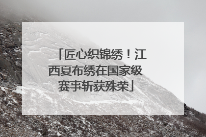 匠心织锦绣！江西夏布绣在国家级赛事斩获殊荣