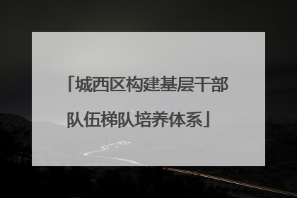 城西区构建基层干部队伍梯队培养体系