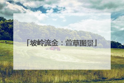 坡岭流金：萱草图景