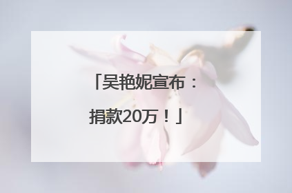 吴艳妮宣布：捐款20万！