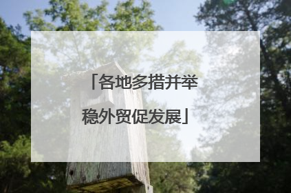 各地多措并举稳外贸促发展