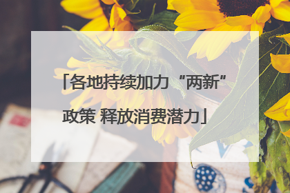 各地持续加力“两新”政策 释放消费潜力