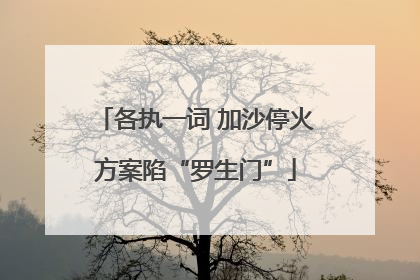 各执一词 加沙停火方案陷“罗生门”