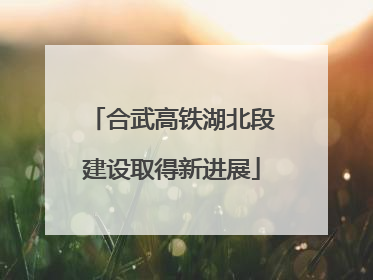 合武高铁湖北段建设取得新进展