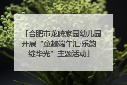 合肥市龙腾家园幼儿园开展“童趣端午汇·乐韵绽华光”主题活动