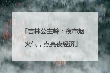 吉林公主岭：夜市烟火气，点亮夜经济