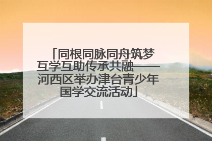 同根同脉同舟筑梦 互学互助传承共融——河西区举办津台青少年国学交流活动