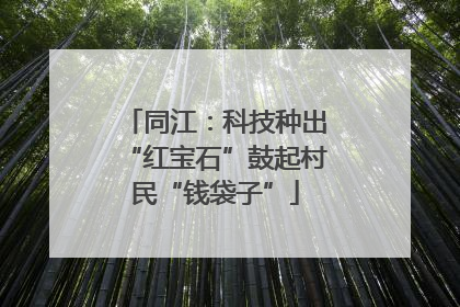 同江：科技种出“红宝石”鼓起村民“钱袋子”