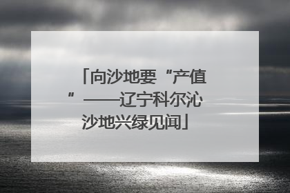向沙地要“产值”——辽宁科尔沁沙地兴绿见闻