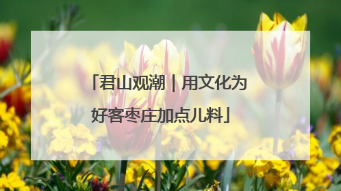 君山观潮｜用文化为好客枣庄加点儿料