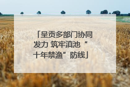 呈贡多部门协同发力 筑牢滇池“十年禁渔”防线