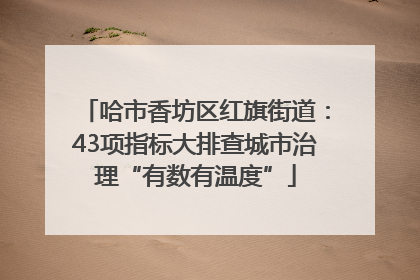 哈市香坊区红旗街道：43项指标大排查城市治理“有数有温度”