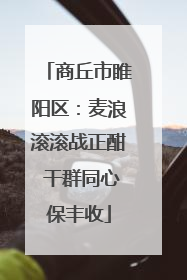 商丘市睢阳区：麦浪滚滚战正酣 干群同心保丰收