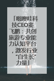 嗯噢哇科技CEO窦飞鹏：共创旅游专业能力认知平台，激发行业“自生长”力量