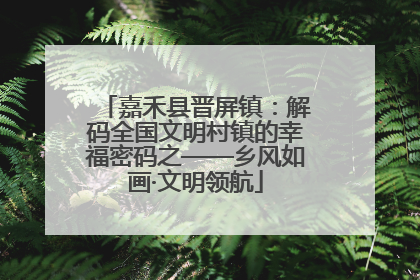 嘉禾县晋屏镇：解码全国文明村镇的幸福密码之——乡风如画·文明领航