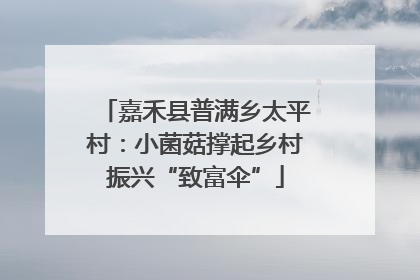 嘉禾县普满乡太平村：小菌菇撑起乡村振兴“致富伞”