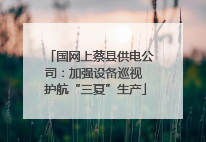 国网上蔡县供电公司：加强设备巡视 护航“三夏”生产