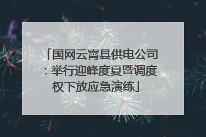 国网云霄县供电公司：举行迎峰度夏暨调度权下放应急演练