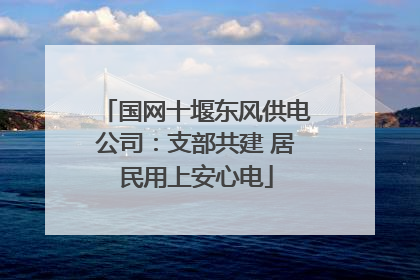 国网十堰东风供电公司：支部共建 居民用上安心电