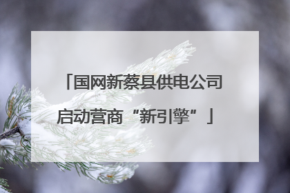 国网新蔡县供电公司启动营商“新引擎”