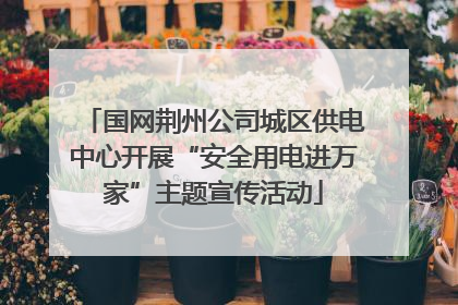 国网荆州公司城区供电中心开展“安全用电进万家”主题宣传活动
