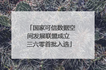 国家可信数据空间发展联盟成立 三六零首批入选