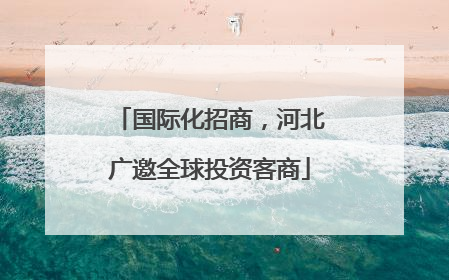 国际化招商，河北广邀全球投资客商