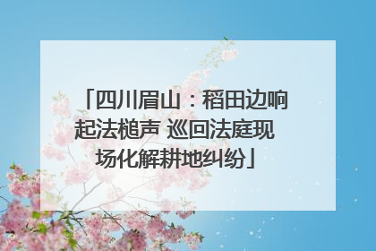 四川眉山：稻田边响起法槌声 巡回法庭现场化解耕地纠纷