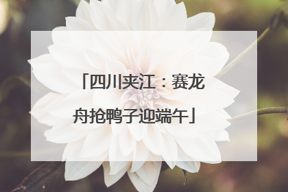 四川夹江：赛龙舟抢鸭子迎端午