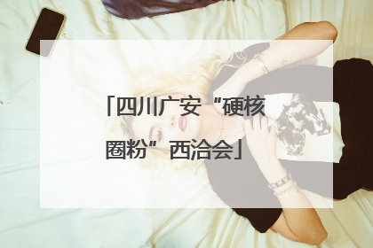 四川广安“硬核圈粉”西洽会