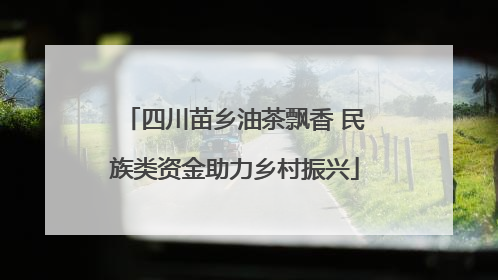 四川苗乡油茶飘香 民族类资金助力乡村振兴