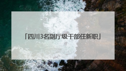 四川3名副厅级干部任新职