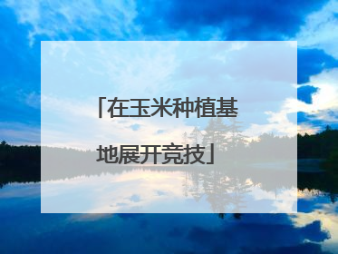 在玉米种植基地展开竞技