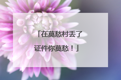 在莫愁村丢了证件你莫愁！