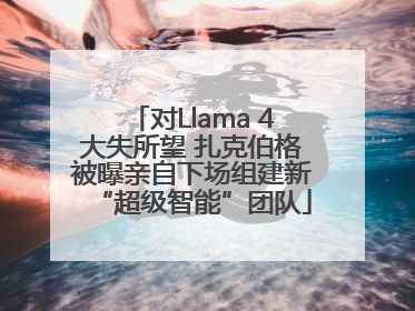 对Llama 4大失所望 扎克伯格被曝亲自下场组建新“超级智能”团队