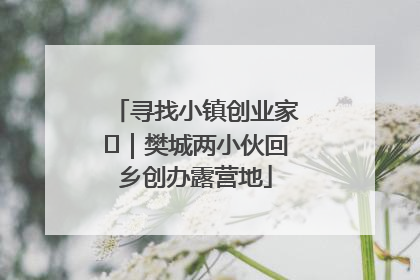 寻找小镇创业家㊳｜樊城两小伙回乡创办露营地