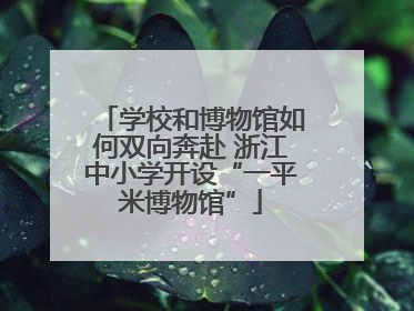 学校和博物馆如何双向奔赴 浙江中小学开设“一平米博物馆”
